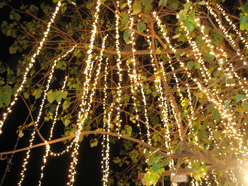 I love the idea of hanging twinkle lights straight down from a tree to 